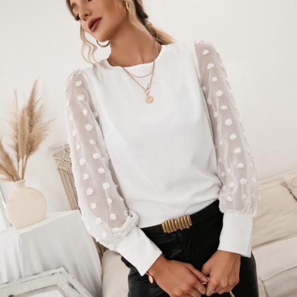 Swiss Dot Sheer Long Sleeve Blouse - Picture 11 of 12